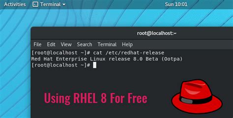 Red hat enterprise linux kernel version - imagingvica