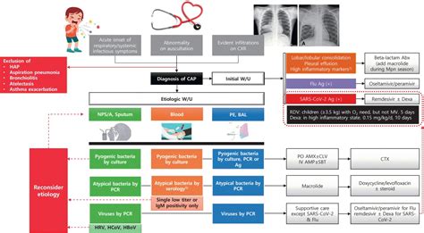 · The etiology should be identified via appropriate test result interpretation.