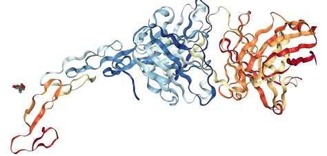 CD27/TNFRSF7 Protein Overview | Sino Biological