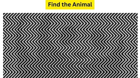 Only a Sleep-Lover can find the hidden animal in the Optical Illusion. Try your luck before it ...