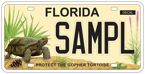 Gopher Tortoise License Plate | Wildlands Conservation