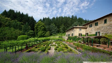 Badia a Coltibuono, Gaiole in Chianti, Siena, Tuscany, Italy - Winery Review | Condé Nast Traveler