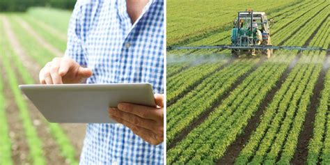 These 5 AgTech Innovations are Revolutionizing Farming - Tech 21 Century