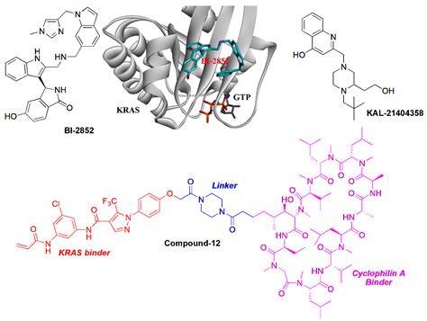 Molecules | Free Full-Text | Multiple Strategies to Develop Small Molecular KRAS Directly Bound ...