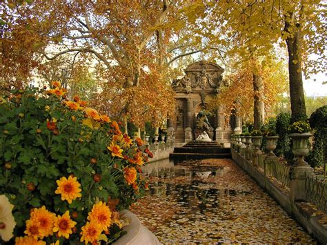 Image result for luxembourg gardens in fall | Paris in november, Luxembourg gardens, Paris