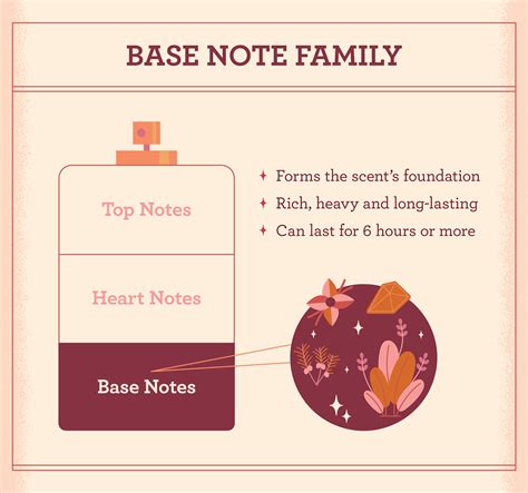 Fragrance Notes: Everything You Need to Know | FragranceX | Fragrance ...