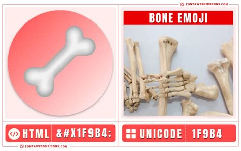 Bone Emoji Copy Paste, 領 Meaning | Unicode