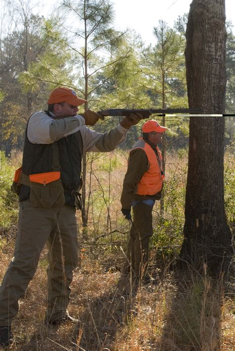 Quail Hunting | Sedgefields Lakes Plantation