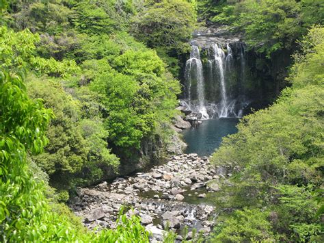 Cheonjeyeon Waterfalls (천제연폭포) - South Korea | South korea travel, Beautiful waterfalls, Waterfall