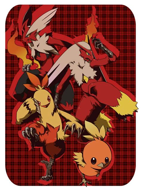 Pokemon Torchic Mega Evolution