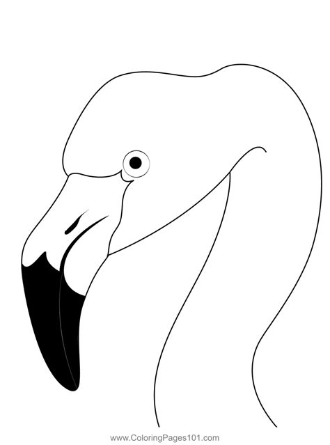 Flamingo Head Drawing