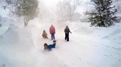 Suburban Buffalo Snow Day Captured by Drone - NBC News