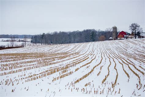 Facts for Teachers: Winter and Farming - Good in Every Grain