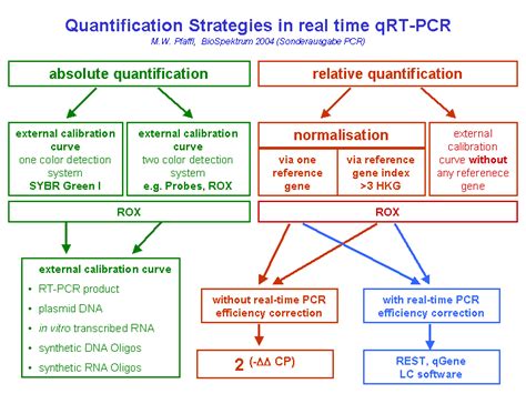 Gene Quantification & real time PCR quantification strategy