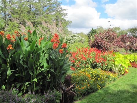 Gardening and Gardens: Fall Gardens Blooming with Color