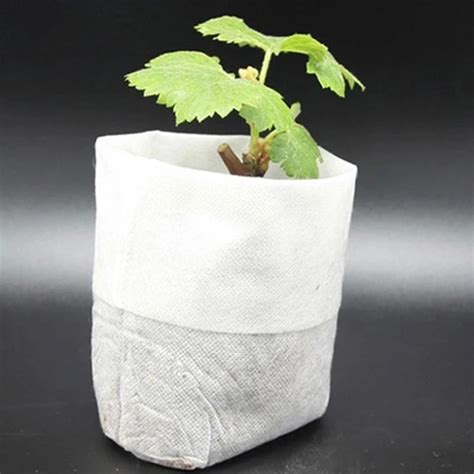 100pcs Biodegradable Non woven Seedling Bag Graft Tree Grow Bag Grape Cuttings Planting ...