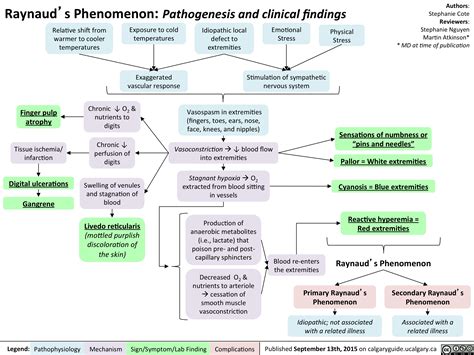 Raynaud’s Phenomenon: Pathogenesis and clinical findings | Calgary Guide