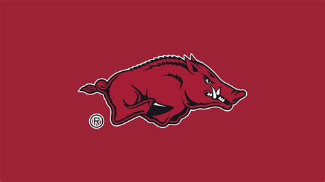 Watch Arkansas Razorbacks women's basketball online | YouTube TV (Free ...