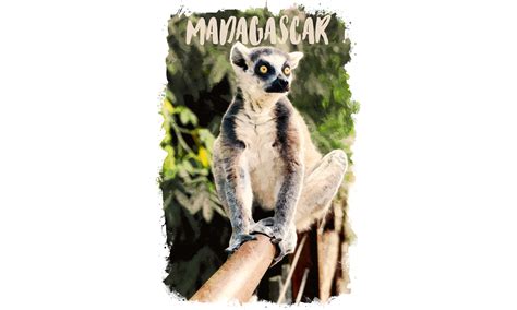 Madagascar Africa Watercolor Poster Graphic by Poster Boutique ...