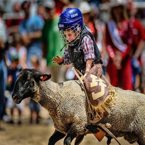 Denver Broncos ‘More Exciting’ Halftime Rodeo Show Leaves NFL Fans in Stitches - EssentiallySports