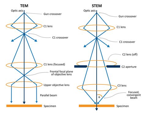 Scanning Transmission Electron Microscopy | Nanoscience Instruments