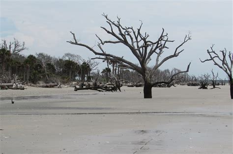 Botany Bay Eco Tours at Janet Tack blog