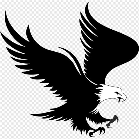 Schwarz-Weiß-Adler-Illustration, Weißkopfseeadler-Logo, Adler, Tiere, Weißkopfseeadler, Schnabel ...