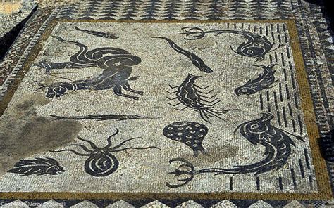 Viático de Vagamundo: Volubilis roman marble floor mosaics (3rd century AD)