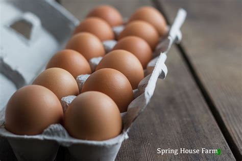 WINTER CSA Eggs Add-on (1 Dozen Eggs in each bi-weekly delivery) - Spring House Farm and Farm Store