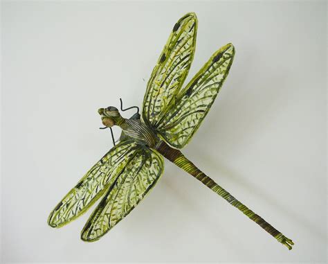 Amazing Dragonfly Insect - Dragonfly Facts, Images, Information ...