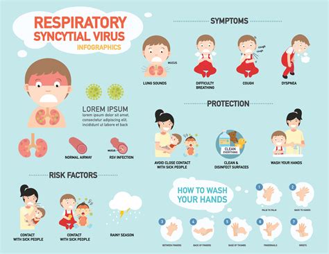 RSV,Respiratory syncytial virus infographic,illustration. 3239477 Vector Art at Vecteezy