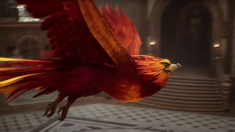 Hogwarts Legacy Phoenix location: Where to find the magical bird ...