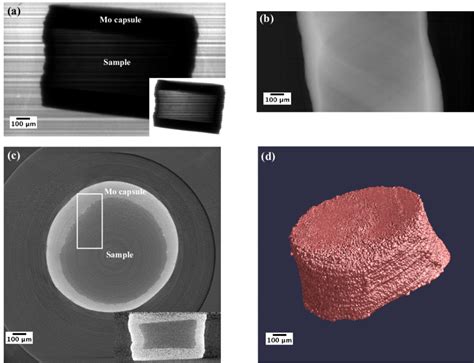 Steps for tomographic reconstruction. (a) A representative raw ...