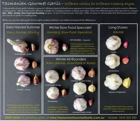 Matching Garlic to Cooking Styles ⋆ Tasmanian Gourmet Garlic | Australian Certified Organic Garlic