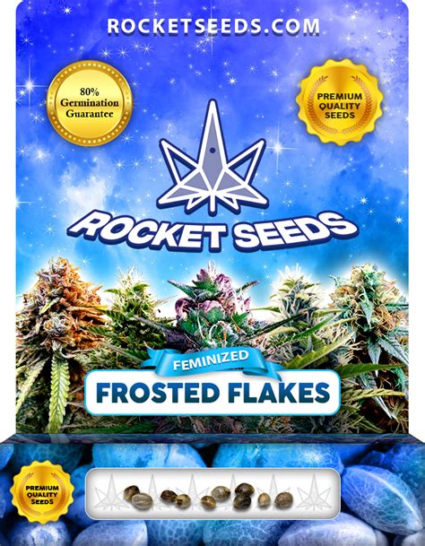 Frosted Flakes Strain Feminized Marijuana Seeds - Rocket Seeds