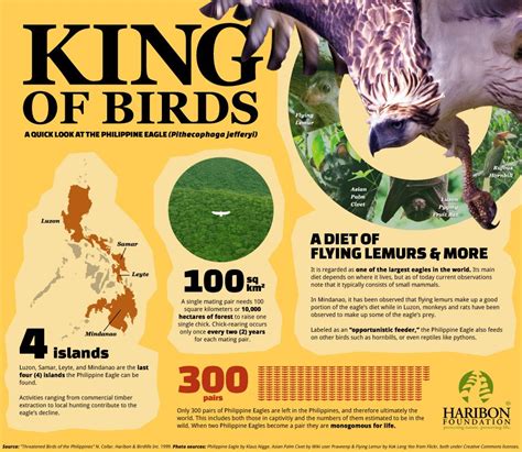 Pin on Philippine Environment & Biodiversity Infographics