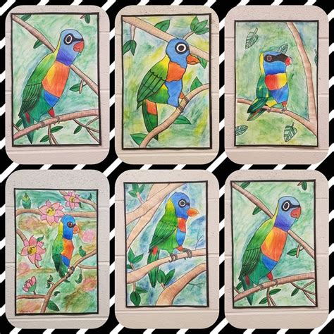 Rainbow Lorikeet | Art hub, 6th grade art, Art lessons