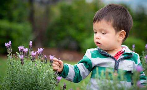 Fun ways to teach kids about flowers