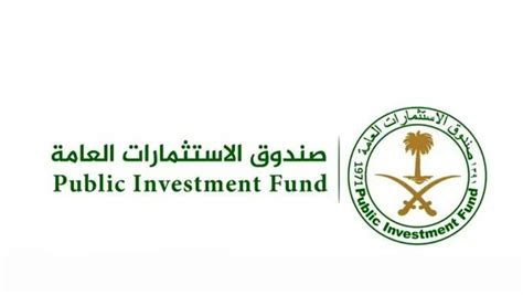 Saudi wealth fund PIF discloses ties to global venture capital, private equity firms - City Roma ...