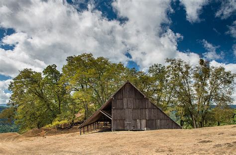 Bald Hills in Summer 4 Photograph by Greg Nyquist | Pixels