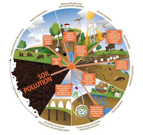 80% of world's soils show pesticide residues, FAO says