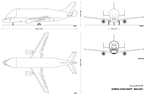 Airbus A300-600ST Beluga Blueprint - Download free blueprint for 3D ...