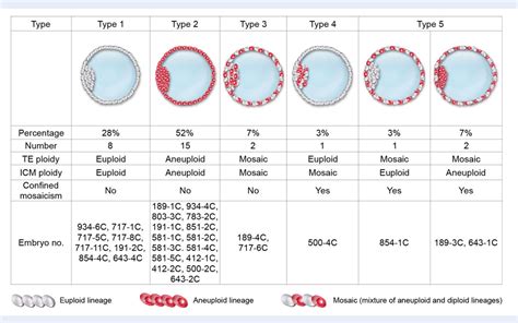 Figure 1 from Concordance between different trophectoderm biopsy sites and the inner cell mass ...