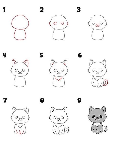 How to draw A Simple Cat step by step - Drawing Photos