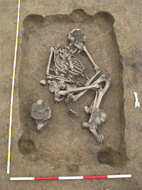 Image result for prehistoric burial with grave goods | Prehistoric, Burial, Image