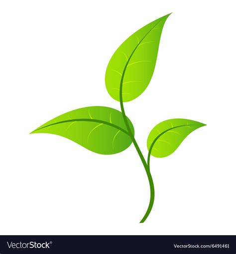 Leaf single icon Royalty Free Vector Image - VectorStock