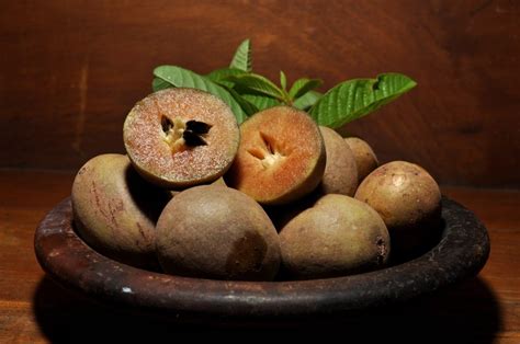 11 Sapodilla Varieties (Varieties You Should Know About) - ChowTray