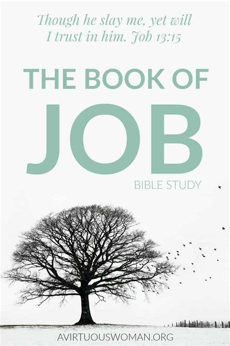 The Book of Job: Bible Study - A Virtuous Woman: A Proverbs 31 Ministry