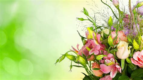 78+ Flower Background New Hd Photos Download - MyWeb