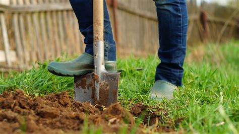 Digging techniques to aid you and your garden - Cultivation Street